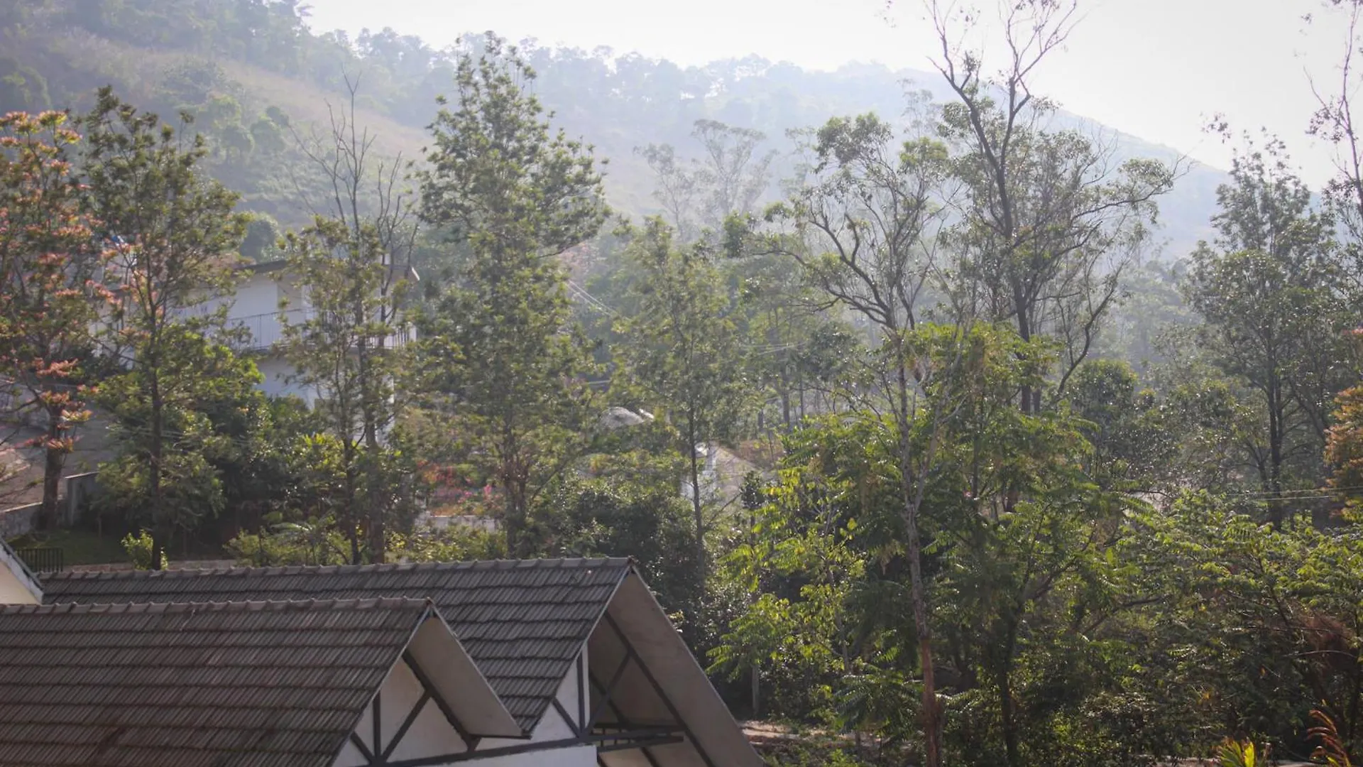 Bed & Breakfast Pakoid Cottages Idukki